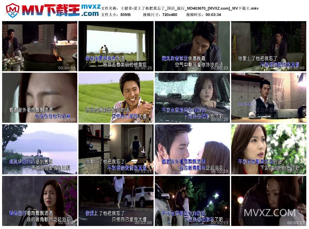 王健荣-爱上了他把我忘了_国语_流行_MD403670